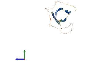 Protein Structure (PS) image for Coiled-Coil Domain Containing 99 (CCDC99) (AA 1-608) protein (His tag) (ABIN7564855)