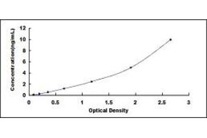 Typical standard curve