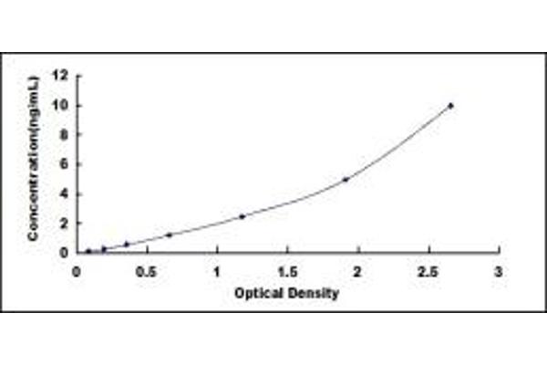 DAP Kinase 1 ELISA Kit