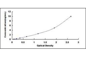 Typical standard curve (DAP Kinase 1 ELISA Kit)