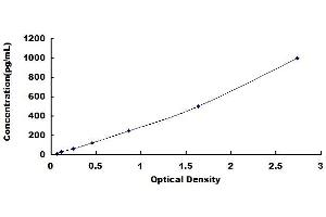 Typical standard curve