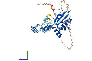 AlphaFold protein structure predicition of Human Recombinant METTL8 Protein, UniprotID Q9H825 (METTL8 Protein (AA 1-291) (His tag))