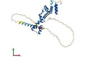 AlphaFold protein structure predicition of Mouse Recombinant Six1 Protein, UniprotID Q62231 (SIX Homeobox 1 Protein (SIX1) (AA 1-284) (His tag))