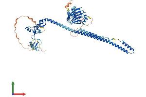 AlphaFold protein structure predicition of Human Recombinant TRIM47 Protein, UniprotID Q96LD4