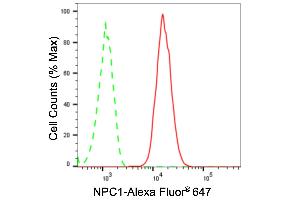 Flow cytometric analysis of NPC1 expression in HT- cells using NPC1 antibody (ABIN7799598), 1:2,000).
