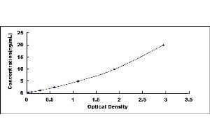 Typical standard curve (DLGAP5 ELISA Kit)