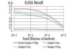 Black line: Control Antigen (100 ng),Purple line: Antigen (10 ng), Blue line: Antigen (50 ng), Red line:Antigen (100 ng) (RUNX3 antibody  (AA 294-429))