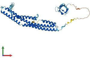 Protein Structure (PS) image for Endophilin-A1 (SH3G2) (AA 1-352) protein (His tag) (ABIN7546052)