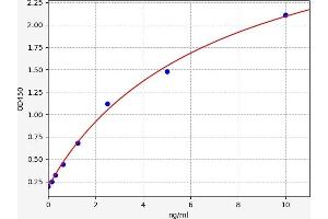ABCB5 ELISA Kit