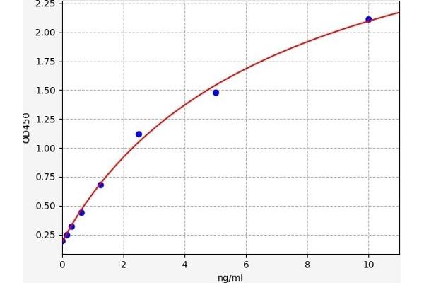 ABCB5 ELISA Kit