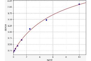 Typical standard curve (ABCB5 ELISA Kit)