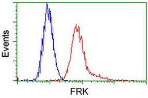 Image no. 2 for anti-Fyn-Related Kinase (FRK) antibody (ABIN1498313)