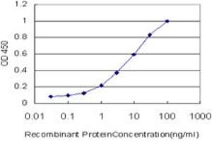 Detection limit for recombinant GST tagged EGR1 is approximately 0. (EGR1 antibody  (AA 444-543))