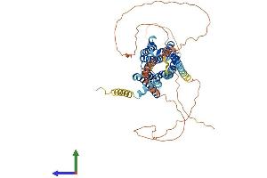 AlphaFold protein structure predicition of Mouse Recombinant Chrm3 Protein, UniprotID Q9ERZ3
