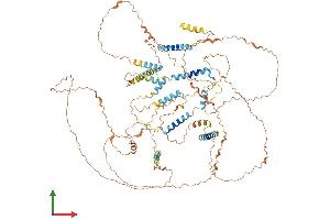 AlphaFold protein structure predicition of Human Recombinant SPATA31D4 Protein, UniprotID Q6ZUB0 (SPATA31D4 Protein (AA 1-917) (His tag))