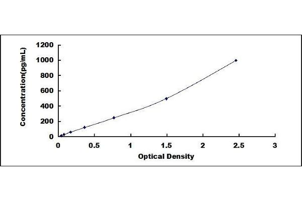 BMP1 ELISA Kit