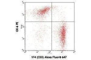Flow Cytometry (FACS) image for anti-RT1 Class II, Locus Bb (RT1-BB) antibody (PE) (ABIN2663878) (RT1-BB antibody  (PE))