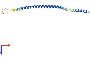 BET1 Protein (AA 1-118) (His tag)