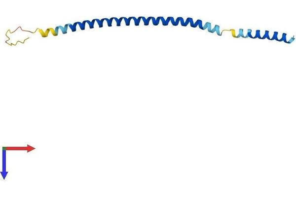 BET1 Protein (AA 1-118) (His tag)