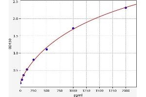 Caspase 6 ELISA Kit