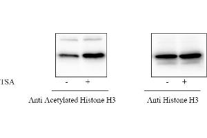 COS cells were treated or untreated with TSA. (Histone 3 ELISA Kit)