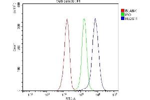 Flow Cytometry analysis of JK cells using anti-HS2ST1 antibody (ABIN7602362).