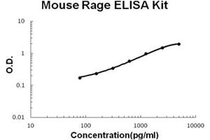 Mouse RAGE PicoKine ELISA Kit standard curve (RAGE ELISA Kit)