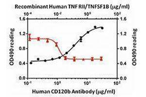 ELISA image for anti-Tumor Necrosis Factor Receptor Superfamily, Member 1B (TNFRSF1B) antibody (ABIN2665950) (TNFRSF1B antibody)