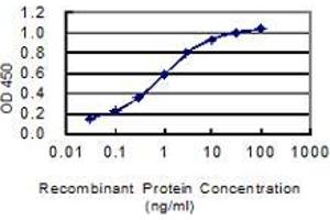 Detection limit for recombinant GST tagged ARL13B is 0. (ARL13B antibody  (AA 329-428))