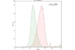 Detection of PTGES2 in HepG2 human hepatocellular carcinoma cell line using Polyclonal Antibody to Prostaglandin E Synthase 2 (PTGES2) (PTGES2 antibody  (AA 145-357))