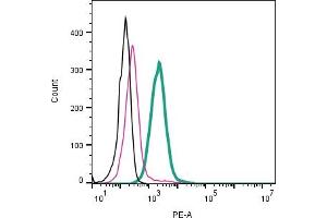 Cell surface detection of ADAM23 by indirect flow cytometry in live intact human  monocytic leukemia cell line: + goat-anti-rabbit-PE.