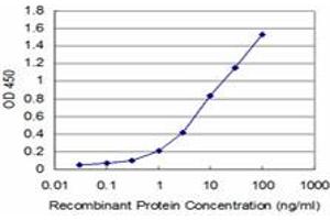 Detection limit for recombinant GST tagged EGR1 is approximately 0. (EGR1 antibody  (AA 444-543))