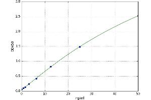 CD68 Molecule (CD68) ELISA Kit