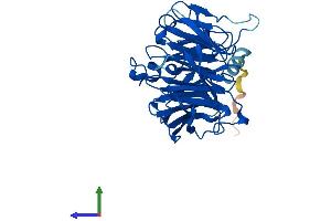 Protein Structure (PS) image for THO Complex 6 Homolog (THOC6) (AA 1-341) protein (His tag) (ABIN7555806)