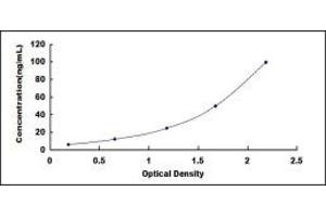 Typical standard curve (GALK1 ELISA Kit)