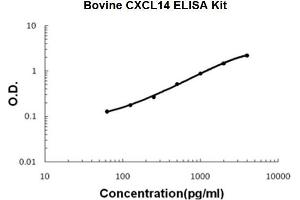 Bovine CXCL14 PicoKine ELISA Kit standard curve (CXCL14 ELISA Kit)