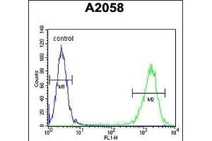 PTMS Antibody (C-term) (ABIN653227 and ABIN2842761) flow cytometric analysis of  cells (right histogram) compared to a negative control cell (left histogram). (Parathymosin antibody  (C-Term))