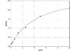 Family with Sequence Similarity 3, Member A (FAM3A) ELISA Kit