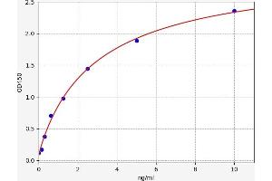 Typical standard curve