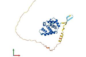 AlphaFold protein structure predicition of Human Recombinant SPDYE4 Protein, UniprotID A6NLX3 (SPDYE4 Protein (AA 1-237) (His tag))