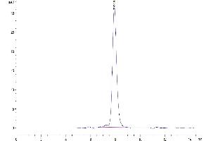 Size-exclusion chromatography-High Pressure Liquid Chromatography (SEC-HPLC) image for Activin A Receptor Type II-Like 1 (ACVRL1) (AA 22-118) protein (His tag) (ABIN7273821)
