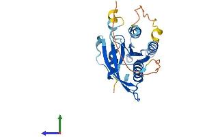 AlphaFold protein structure predicition of Mouse Recombinant Rabl3 Protein, UniprotID Q9D4V7 (RABL3 Protein (AA 1-236) (His tag))
