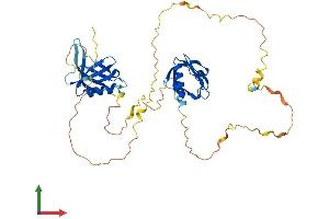Protein Structure (PS) image for DOK2 (DOK2) (AA 1-412) protein (His tag) (ABIN7547107)