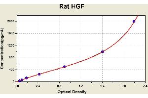 Diagramm of the ELISA kit to detect Rat HGFwith the optical density on the x-axis and the concentration on the y-axis. (HGF ELISA Kit)