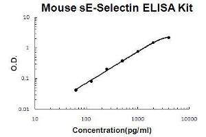 Mouse sE-Selectin PicoKine ELISA Kit standard curve