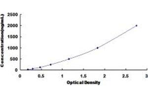 Typical standard curve (FETUB ELISA Kit)