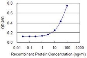 Detection limit for recombinant GST tagged CSTF1 is 1 ng/ml as a capture antibody. (CSTF1 antibody  (AA 332-431))