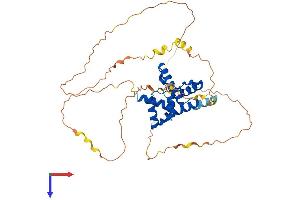 AlphaFold protein structure predicition of Human Recombinant DUX4L6 Protein, UniprotID P0CJ89
