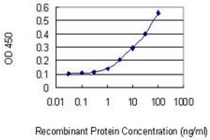 Detection limit for recombinant GST tagged PPP1R2P3 is 0. (PPP1R2P3 antibody  (AA 1-205))