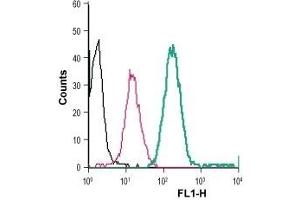 Cell surface detection of BAI1 in live intact human THP-1 monocytic leukemia cells: (black line) Cells. (ADGRB1 antibody  (Extracellular) (FITC))